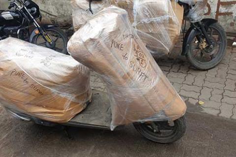 Maple Packer Mover Bike Packing