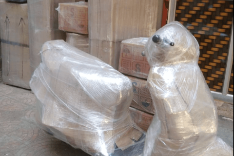 Mira-Road-packers-and-movers-Bike-packing