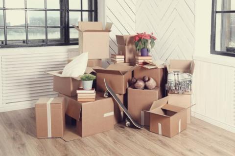 Nestle-packers-and-movers-household-relocation