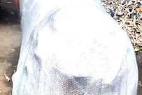 OM SAI-Packers-and-Movers-bike-relocation