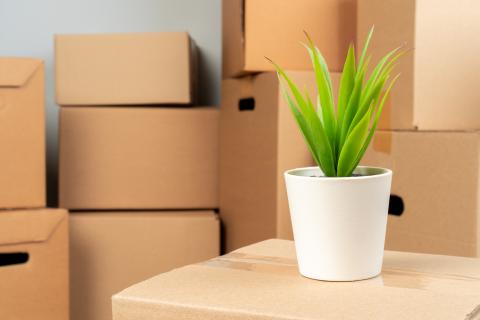 Patra-Packers-&amp;-Movers-household