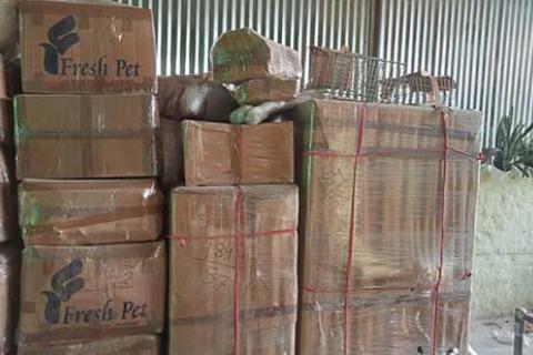 Riveego Packers Movers Packing