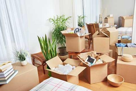 Shainex-Relocation-Packing.jpg