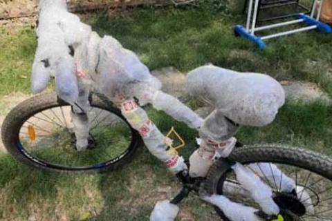 Starway International Packers-Movers Cycle Packing