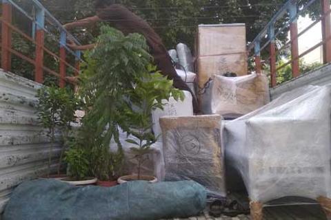 Stepin Packers Movers Loading