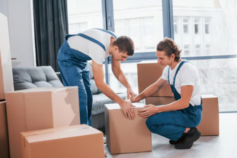 Super-logistics-packers-packing