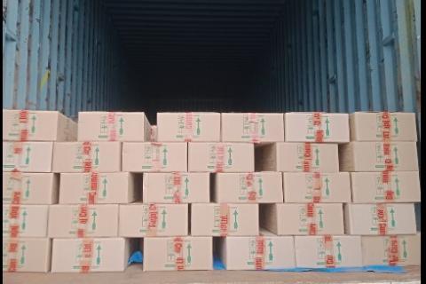 Thunderbird-international-packers-and-movers-loading