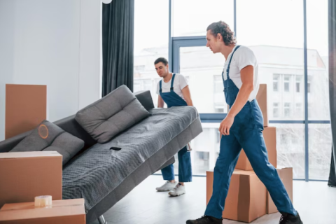 True-cargo-packers-and-movers-household-relocation