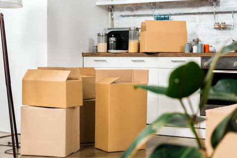 Trust-Packers-and-Movers-relocation