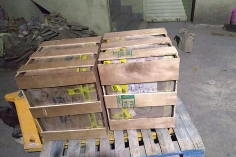 URL-packers-and-movers-packing