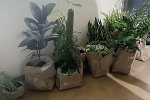 Urban-Glide-Relocation-bike-plants