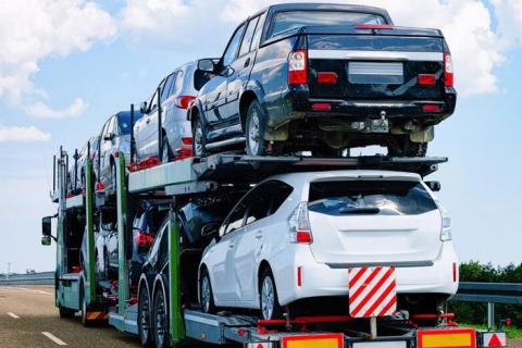 Walia-Car-Transportation-Services