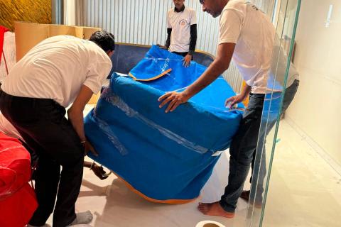 evergreen-packers-movers-packing
