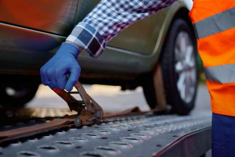 falnest-relocation-car-relocation