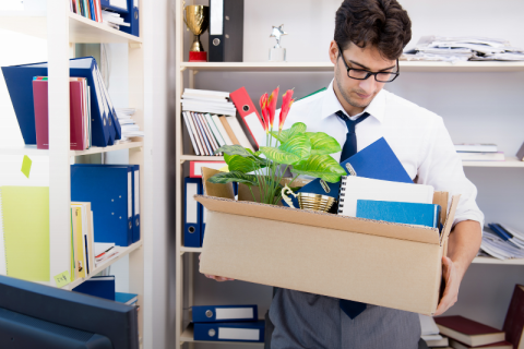 falnest-relocation-office-relocation