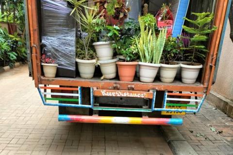 friends-packers-and-movers-packing