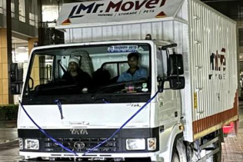 mr-move-transport