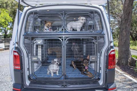 wright-packers-movers-pet-relocation