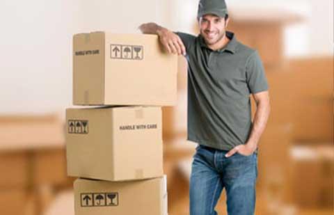 Dolphin-Home-Relocation-Logistics-Packing.jpg