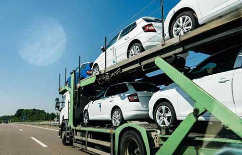 Packer Buddy Car Carrier