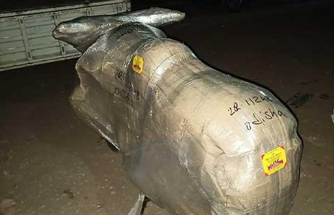 Time Line Cargo Packers Movers Bike Packing