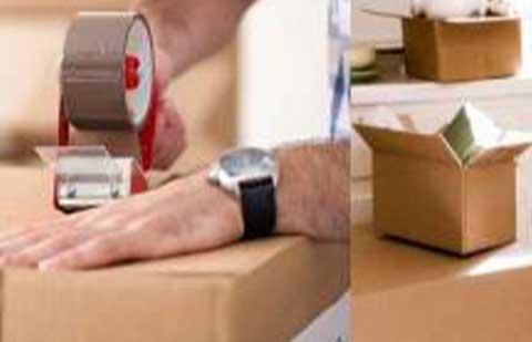 True Cargo Packers Movers Packing