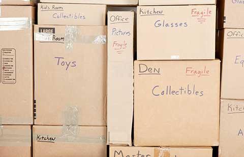 Vikas-Packers-Movers-Moving.jpg