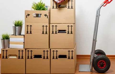 Vikas-Packers-Movers-Shifting.jpg