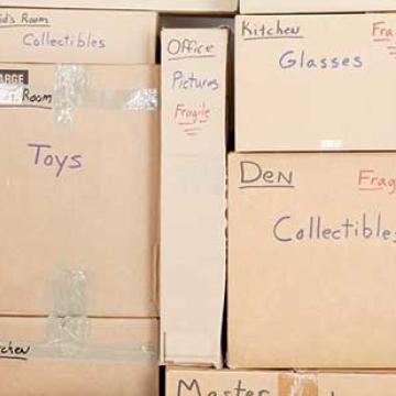 Alfa-Packers-Movers-Pune-Domestic-Moving.jpg