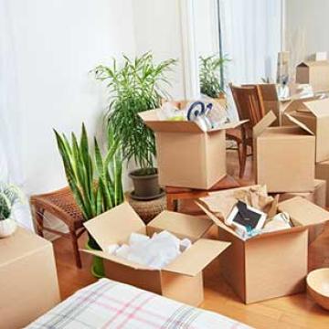 Chauhan-Transport-Packers-Movers-Packing.jpg