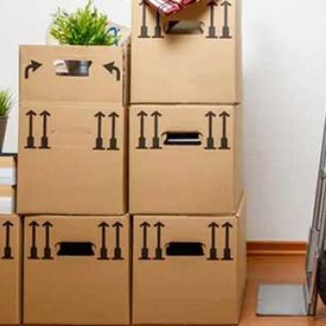 First-Cargo-Movers-Shifting.jpg