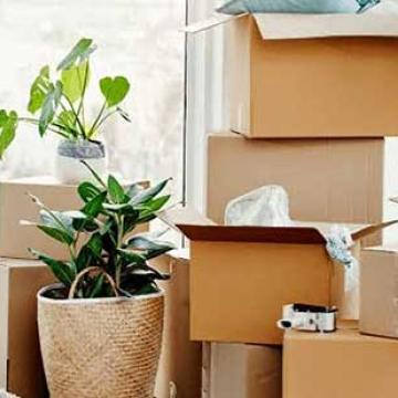 Jai-Bharat-Packers-Movers-Pune-Packing02.jpg