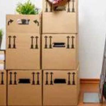 Safe Logistic Cargo Movers Shifting