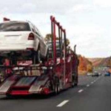True Cargo Packers Movers Car Transportation